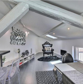 Loft, centre ville, atypique de 100m2